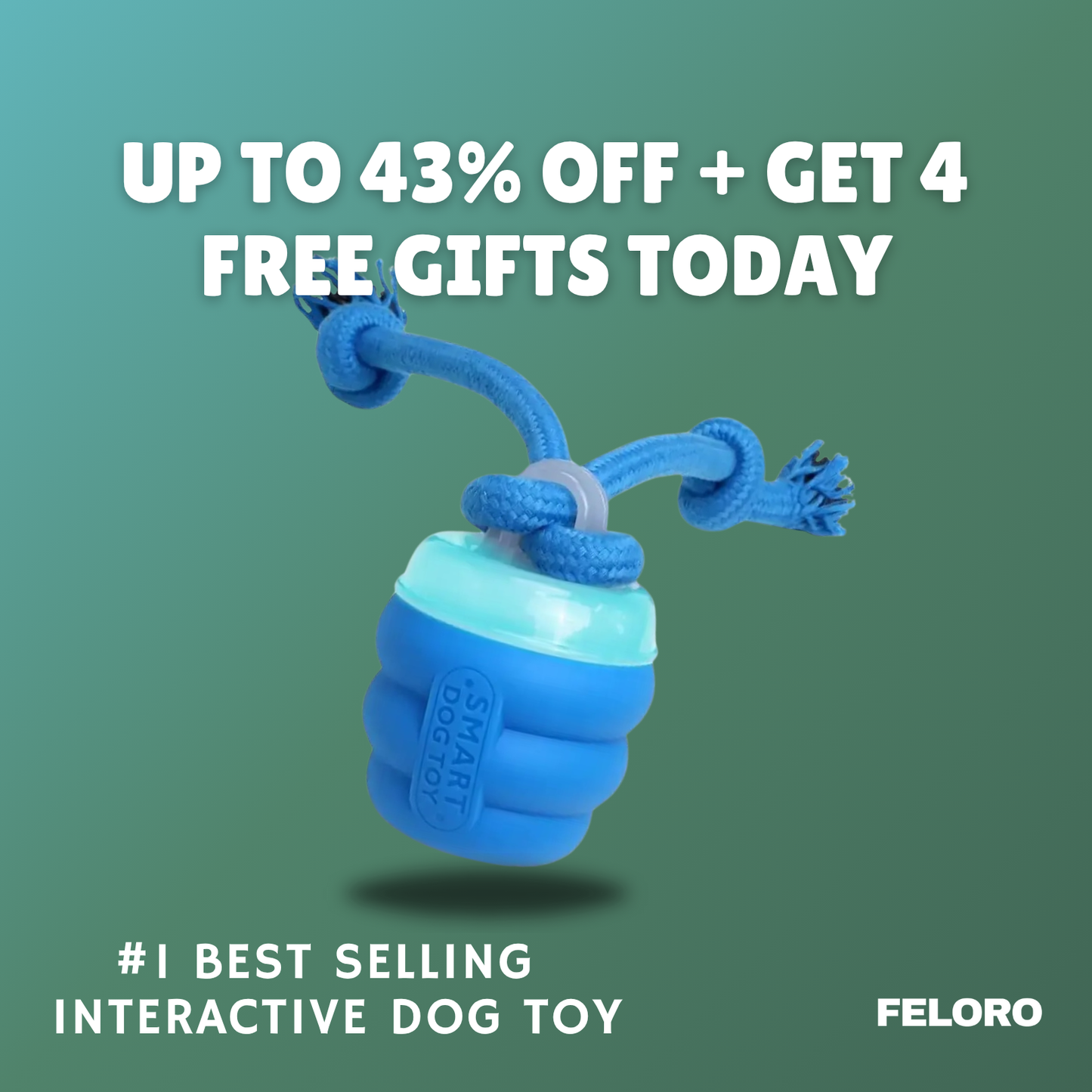 The Chase Buddy™ – Keep Your Dog Calm, Engaged & Satisfied (Even When You’re Busy)