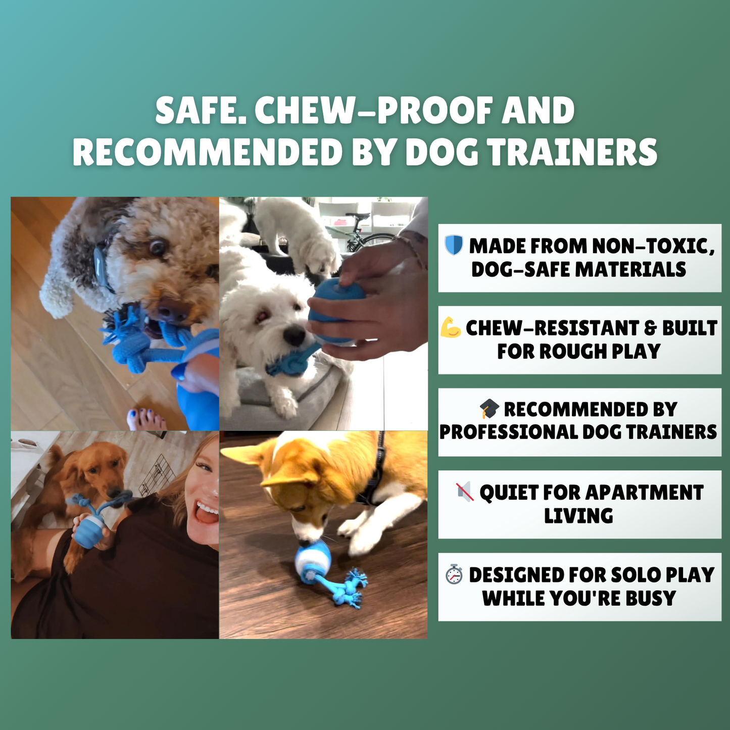 The Chase Buddy™ – Keep Your Dog Calm, Engaged & Satisfied (Even When You’re Busy)