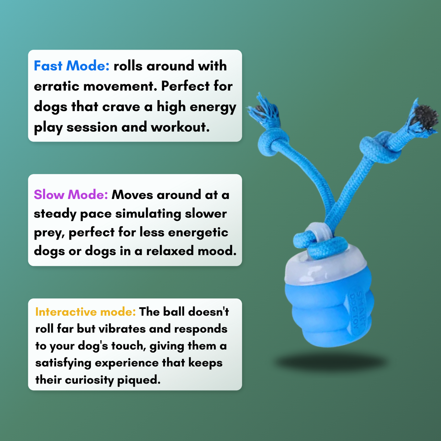 The Chase Buddy™ – Keep Your Dog Calm, Engaged & Satisfied (Even When You’re Busy)