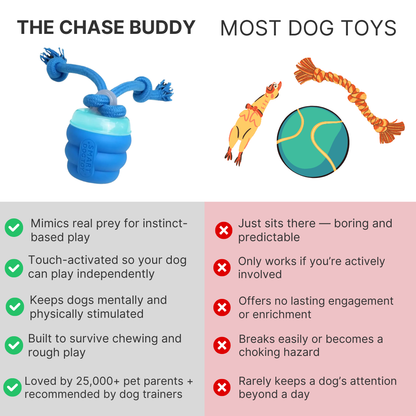 The Chase Buddy™ – Keep Your Dog Calm, Engaged & Satisfied (Even When You’re Busy)