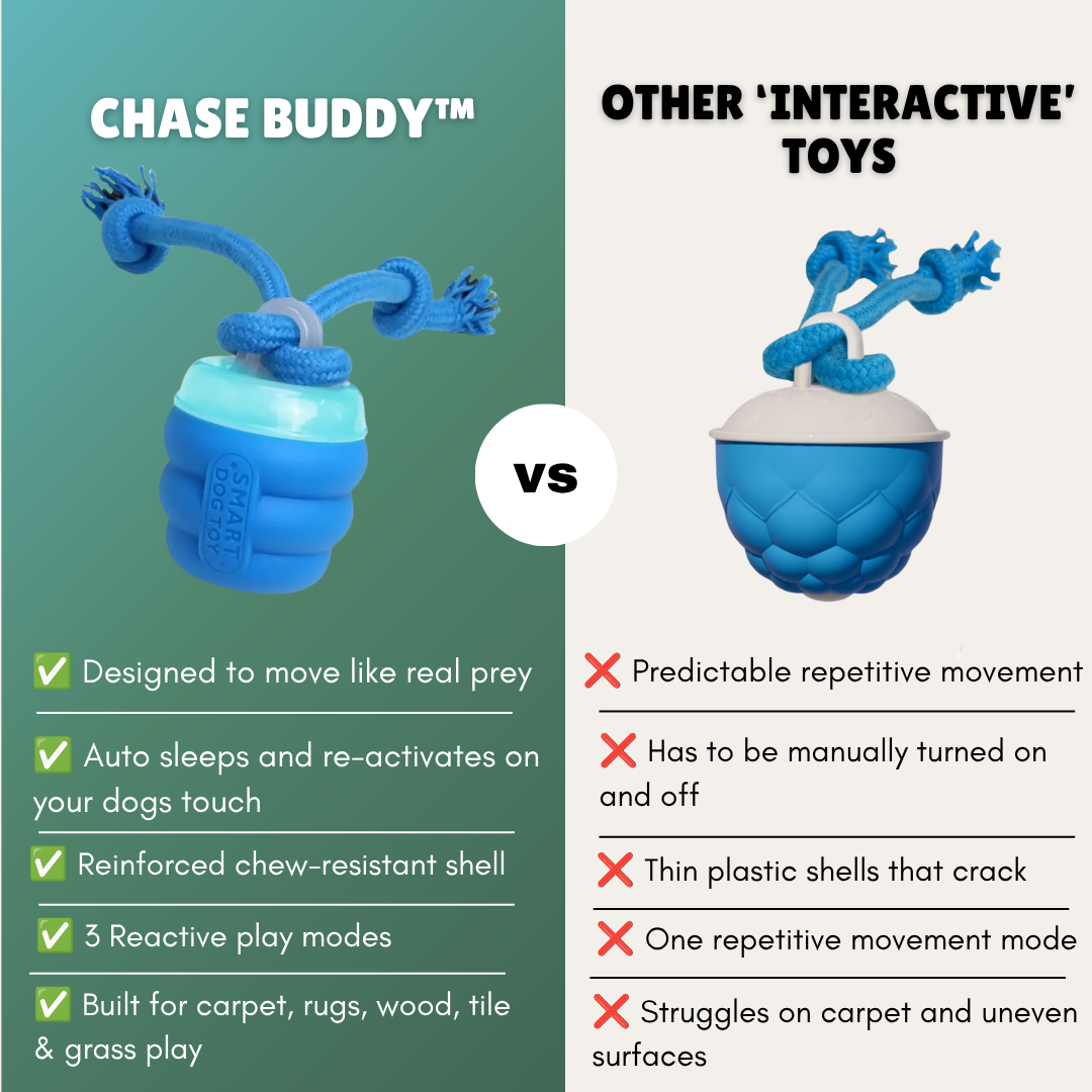 The Chase Buddy™ – Keep Your Dog Calm, Engaged & Satisfied (Even When You’re Busy)