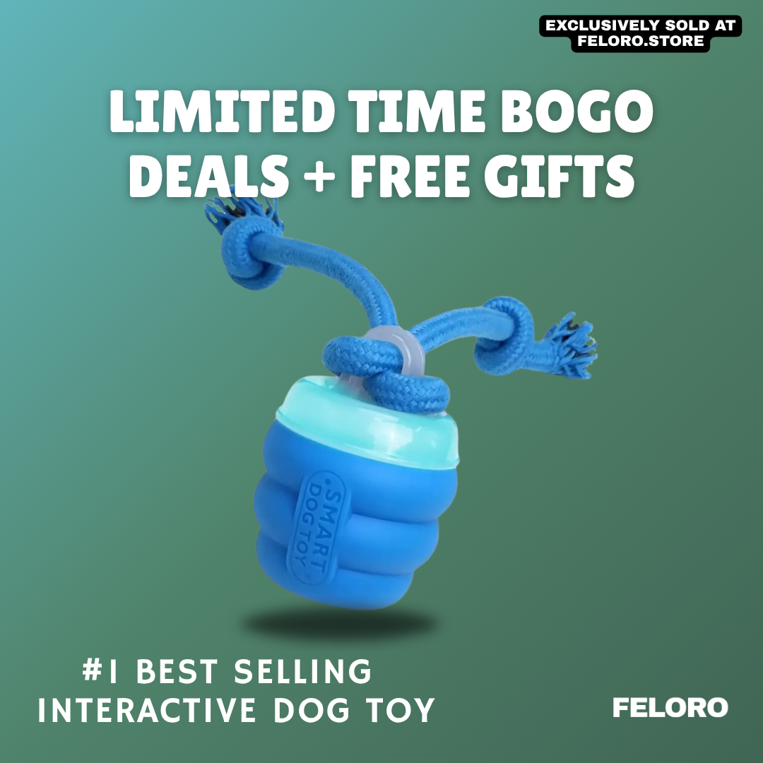 The Chase Buddy™ – Keep Your Dog Calm, Engaged & Satisfied (Even When You’re Busy)